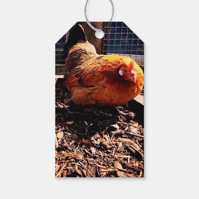 Etiquetas Para Regalos pollo naranja (Anverso)