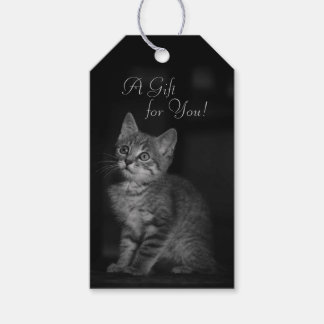 Etiquetas Para Regalos Precious Kitten A Gift for You Personalizado Text