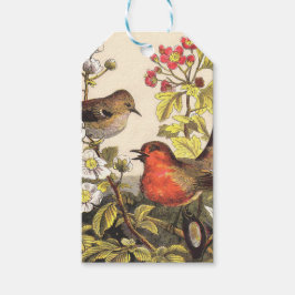 Etiquetas Para Regalos Primavera Robin Birds Red Birds