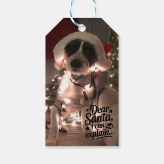 Etiquetas Para Regalos Querido Santa, puedo explicarlo (perro)