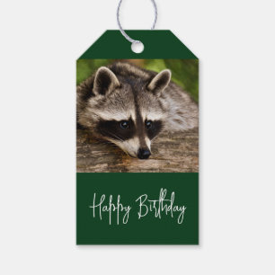 Etiquetas Para Regalos Raccoon lindo descansando en un cumpleaños de regi