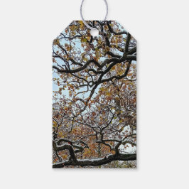 Etiquetas Para Regalos Ramas , con hojas de naranja y nieve