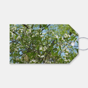 Etiquetas Para Regalos Ramas de Dogwood florecen árboles de primavera