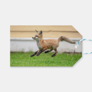 Etiquetas Para Regalos Red Fox Kit en el Valle de Hudson