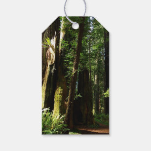 Etiquetas Para Regalos Redwood y Ferries en el Parque Nacional Redwood