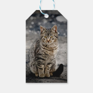 Etiquetas Para Regalos Retrato de un gato