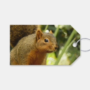 Etiquetas Para Regalos Retrato de una fotografía animal de la naturaleza 
