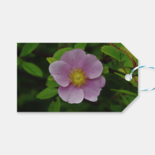 Etiquetas Para Regalos Rosa salvaje subió