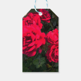 Etiquetas Para Regalos Rosas rojas floreciendo 