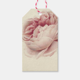 Etiquetas Para Regalos Roze Roos (1792) – Arte Botánico Vintage Atemporal