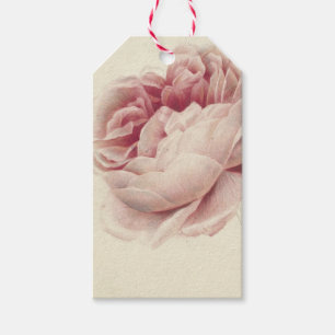 Etiquetas Para Regalos Roze Roos (1792) – Intemporales grabados botánicos