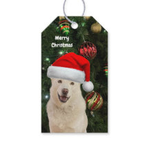 Santa Paws - Crystal the Husky Dog Personalizado