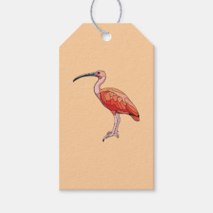Etiquetas Para Regalos Scarlet Ibis Bird Feliz Cumpleaños