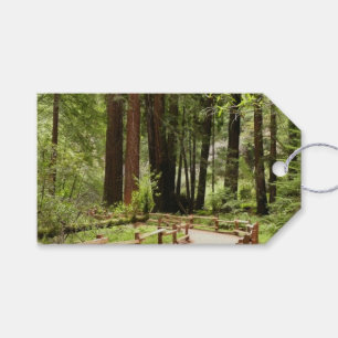 Etiquetas Para Regalos Sendero de Muir Woods I Fotografía de la naturalez