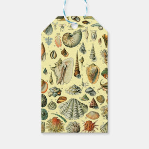Etiquetas Para Regalos Shell de conchas marinas Mollusk Clam Elegante Art