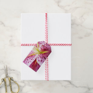 Etiquetas Para Regalos Stargazer Lily Bright Magenta Floral