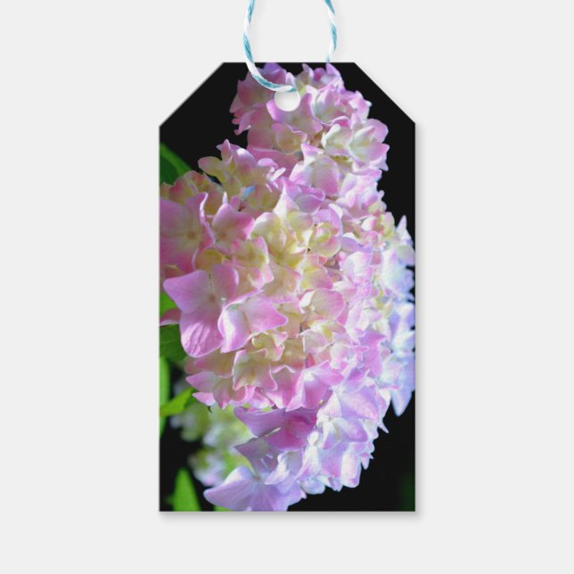 Etiquetas Para Regalos Susurro matutino - Hydrangeas (Anverso)