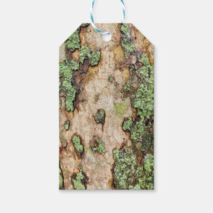 Etiquetas Para Regalos Sycamore Tree Bark Moss Lichen