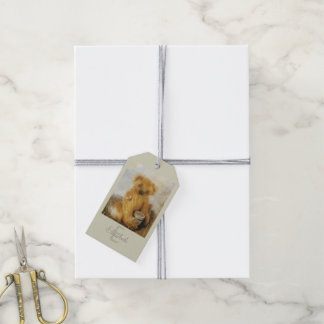 Etiquetas Para Regalos Teddy de oso de miel lindo - masticado a mano