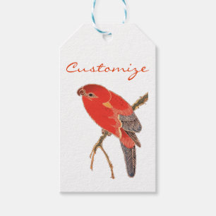 Etiquetas Para Regalos Thunder_Cove, loro rojo tropical