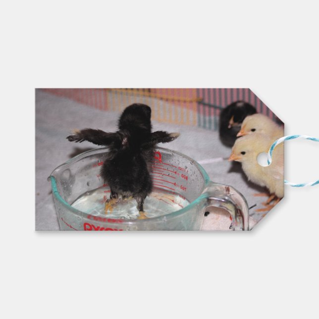 Etiquetas Para Regalos Tiempo de baño (Frente (Horizontal))