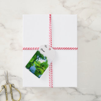 Etiquetas Para Regalos Tiempo Fuera de la Ciudad