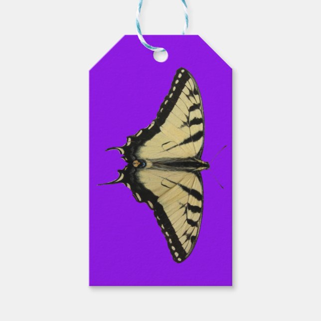 Etiquetas Para Regalos Tiger Swallowtail (Anverso)