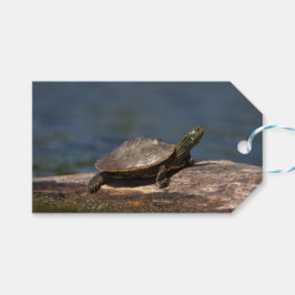 Etiquetas Para Regalos Tortuga pintada en un tronco