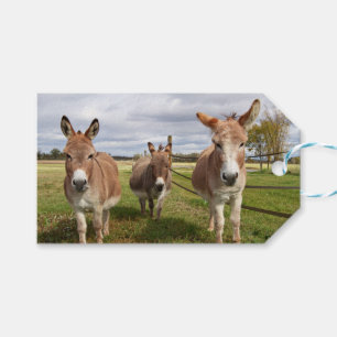 Etiquetas Para Regalos Tres burros