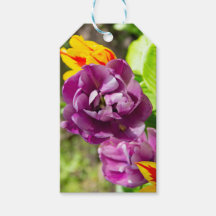 Tulipanes de Lilac en un día soleado