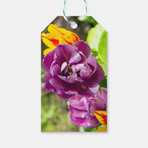 Etiquetas Para Regalos Tulipanes de Lilac en un día soleado