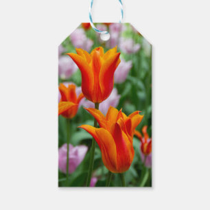 Etiquetas Para Regalos Tulipanes naranjas brillantes en el parque