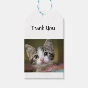 Etiquetas Para Regalos Un lindo gatito con ojos verdes