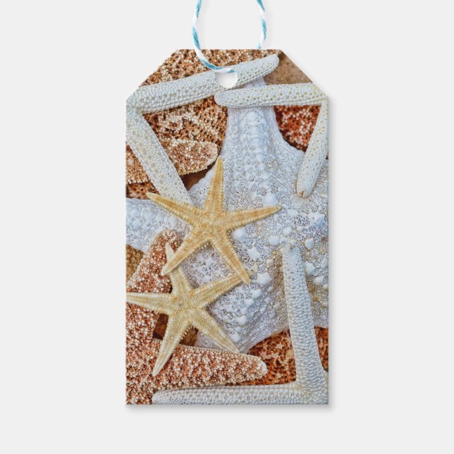 Etiquetas Para Regalos Variedad de Starfish (Anverso)