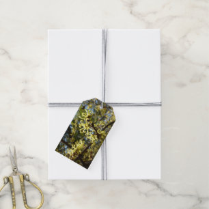 Etiquetas Para Regalos Witch Hazel Flowers