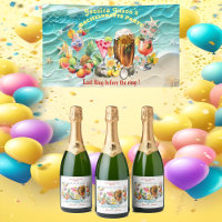 Cócteles de Playa Frutas Tropicales Despedida de S