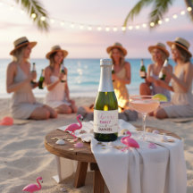 Mini Champagne de Fiesta de Soltera Rosa Cheers
