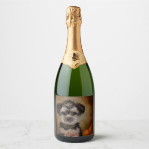 Etiquetas Para Vinos Espumosos Yorkie Poo