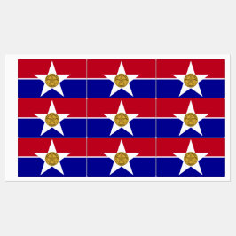 Etiquetas patrióticas con bandera de Dallas City