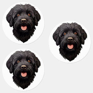 Etiquetas Perro negro Labradoodle