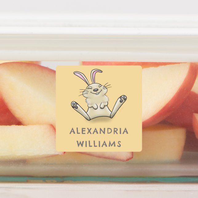 Etiquetas Personalizado de conejo lindo personalizado (Fijada)