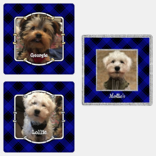 Etiquetas Personalizado lindo 3 fotos Mascota marco azul y n