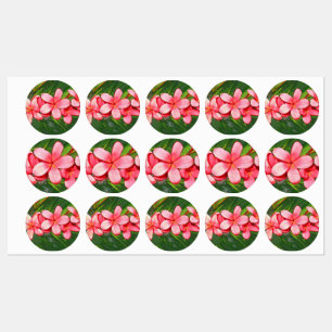 Etiquetas plumeria