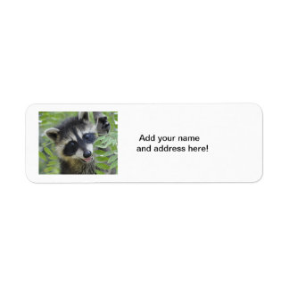 Etiquetas Raccoon Return Address