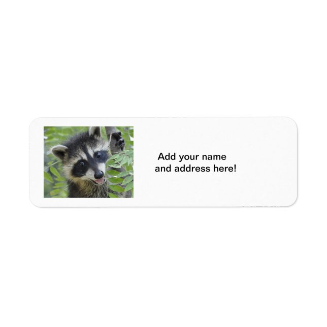 Etiquetas Raccoon Return Address (Frente)