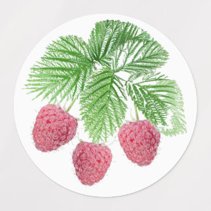 Etiquetas Ripe, bayas, frambuesas