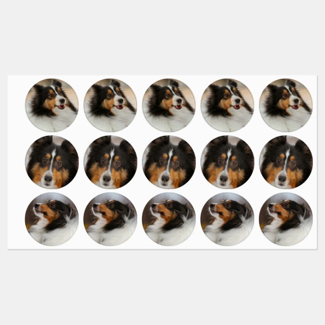 Etiquetas Shelty (Hoja)