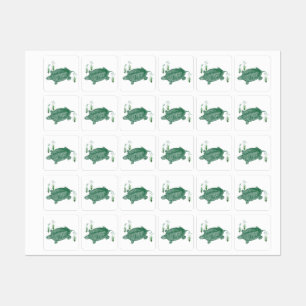 Etiquetas Tortuga marina verde