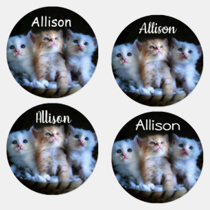 Etiquetas Tres gatitos