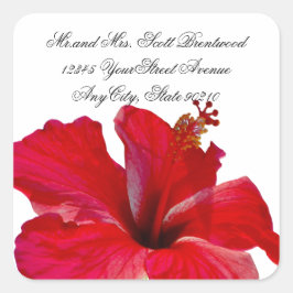 Etiquetas Tropical Rojo Hibiscus